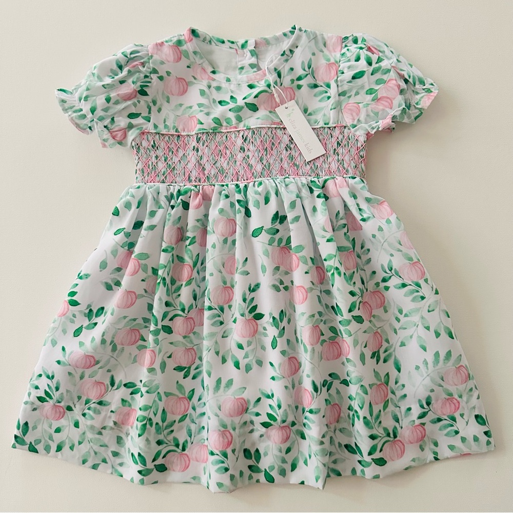 Eliza James Kids 2T Toddler Girl Pumpkin Smocked Dress NWT